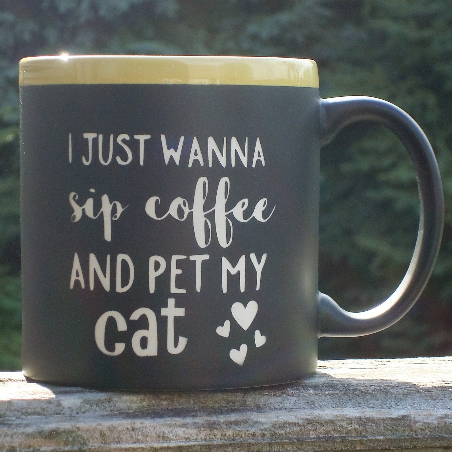 Jumbo 22 oz Coffee Mug for Cat Lover Birthday Friend Gift